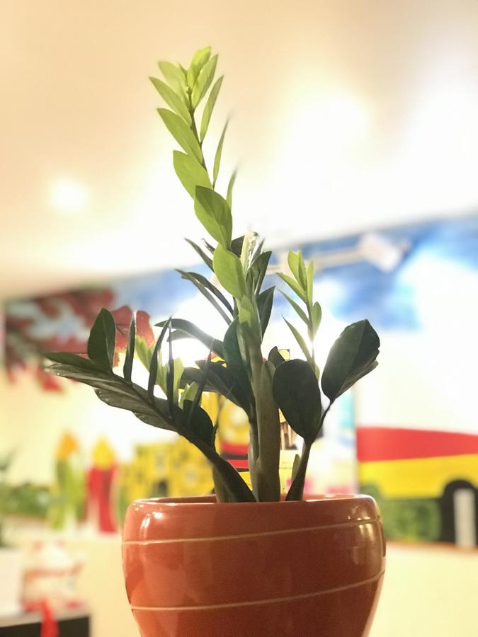 The Lily Hostel & Coffee Ho Chi Minh-Byen Eksteriør billede
